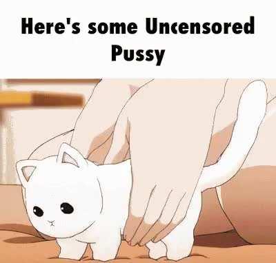 I love animal memes <3