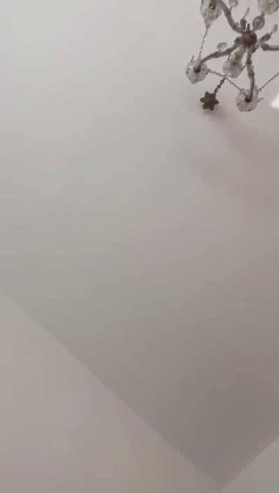 💠 What in the “I pay the bills around here” is going on?💠