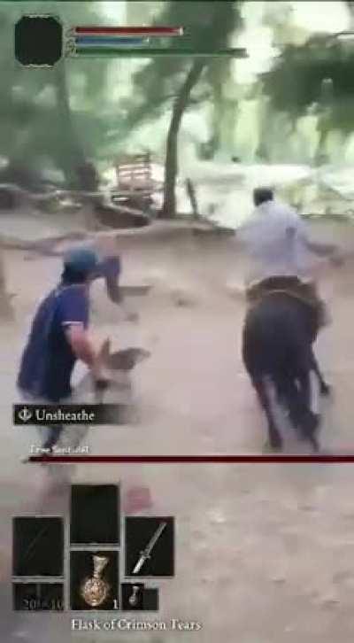 This horse knew the assignment