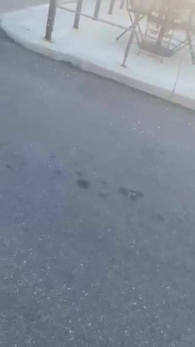 So this is America.... This is a mother of three in Michigan getting a gun pulled on her for walking behind a van in the parking lot. Her daughters are standing right next to her. Please make this go viral so this lady can’t harass anymore innocent people