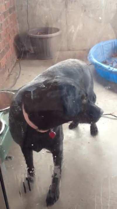 Some of us just vibe to our own beat