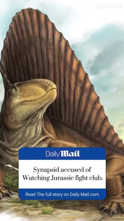 Dimetrodon got caught watching Jurassic fight club