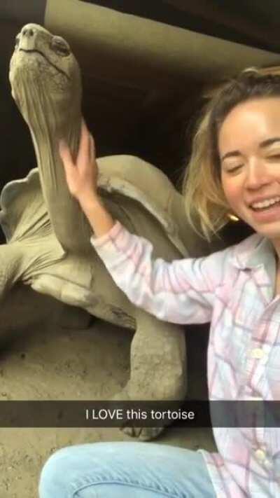 Stroking the tortoise! 😉