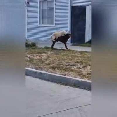 It's true. size doesn't matter