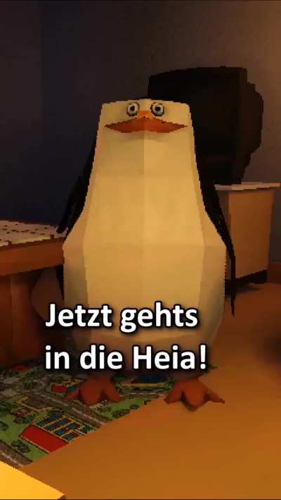 German Pigeon and Penguins from Madagascar