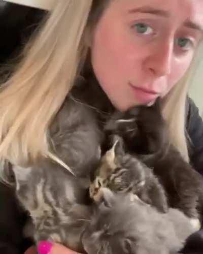 Trying to cuddle with kittens this age is intense. Even though they literally just ate