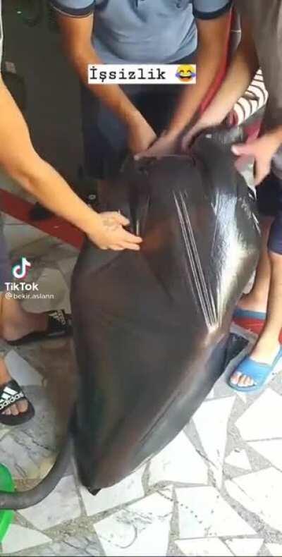 What the fuck did they was gonna happen