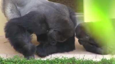 dudeologists found a vital proof for 