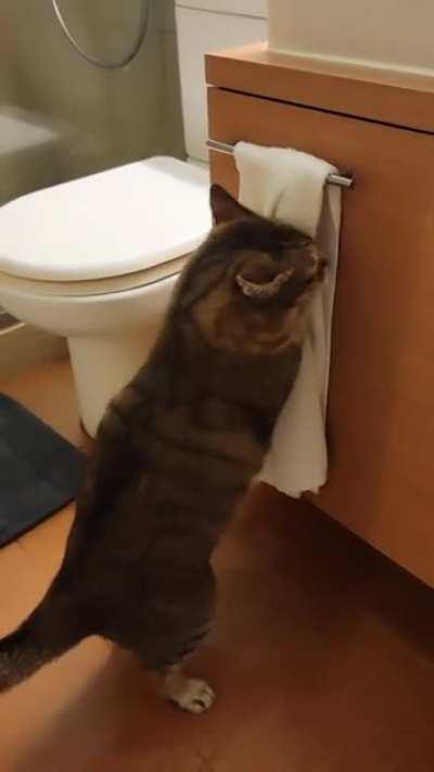 Wipe first 🤗 aww 🤗