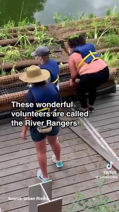 Cleaning up the Chicago River with floating gardens