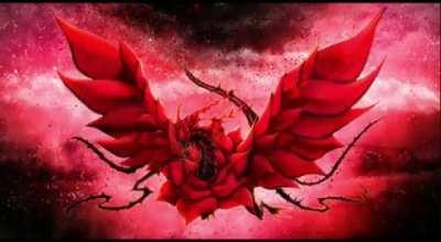 My wallpapers so far