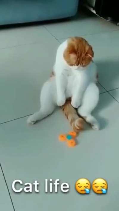 Another day in quarantine