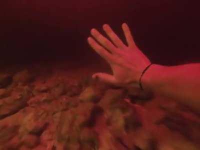 Where 2 waters meet in the Florida springs