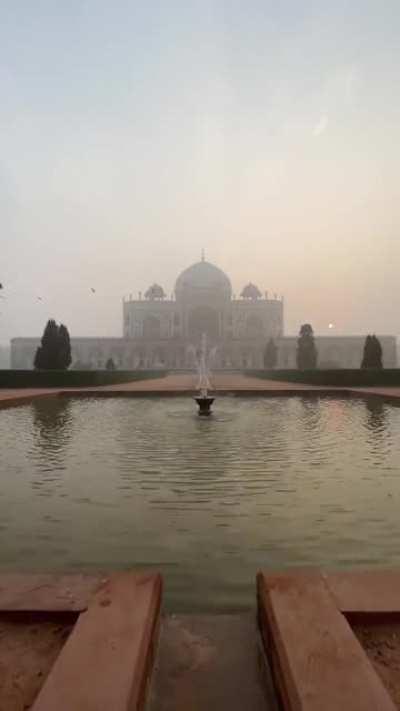 The magic of foggy winter mornings