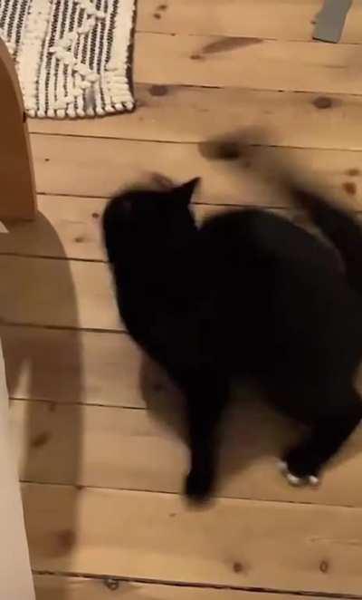 Her anxiety is worse than mine lol