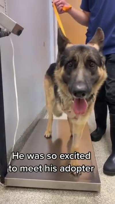 The Perfect Pair 💙✨