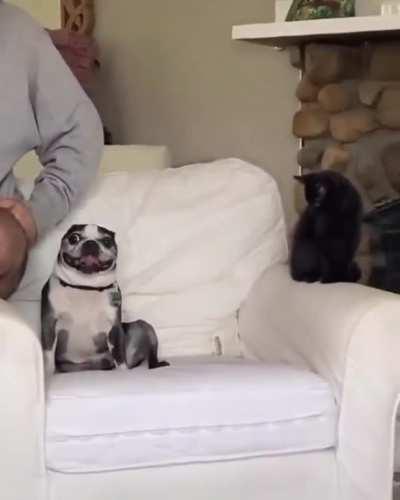 Somebody's Watching Me!