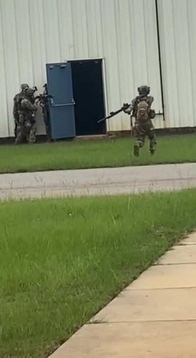 Perfectly cut screams