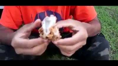 Arrodillense ante el himno de Dios