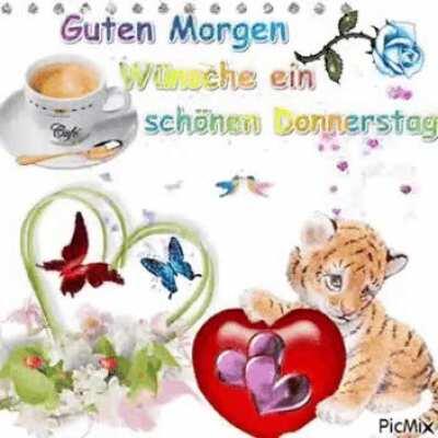 GuMo Männerinnen und Männer 🤣🤣🤣🤣🤣🤣🤣🤣🤣🤣🤣😍😍 Kommt gut durch den Tag. 🤪🤪🤪😃😃😃😃😃 Morgen ist Freitag. Durchhalten!!!! 🤜🤛💪💪💪💪