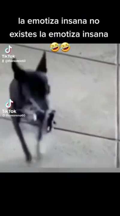 Emotiza insana 😛