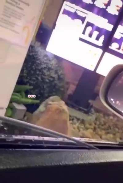 you can hear the pain in his voice