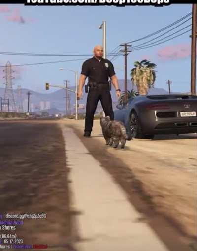 fishfunctions? how does the fish function 