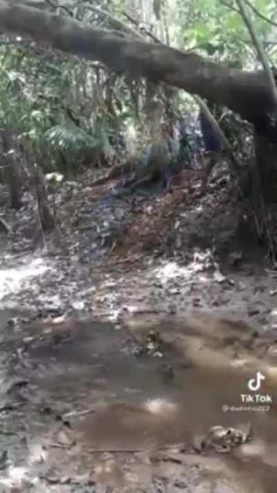 Posting videos found on Filipino facebook until I forget (Day 43)