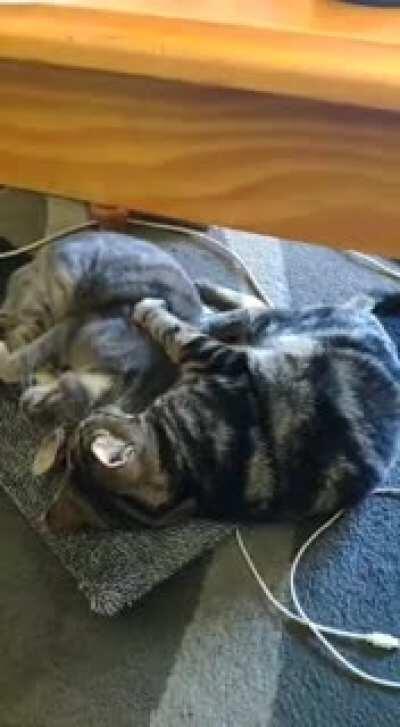 I just want to sleep