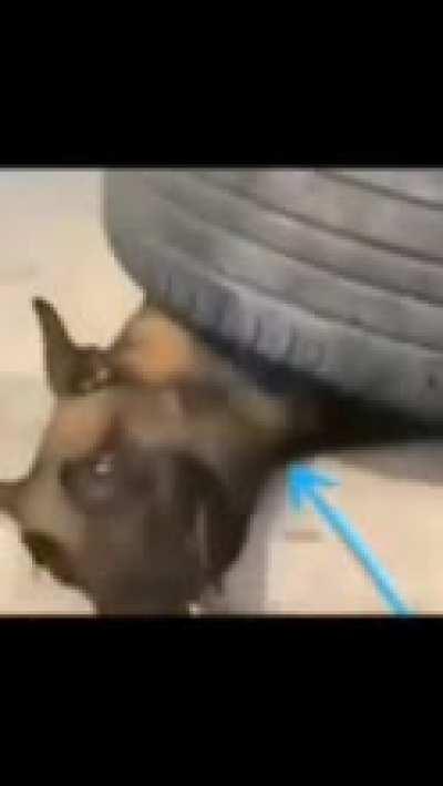 I'm 15 and this is yeet