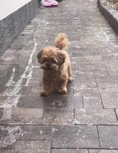 The road is slippery🤣🤣