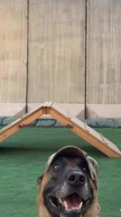 the best transition of all