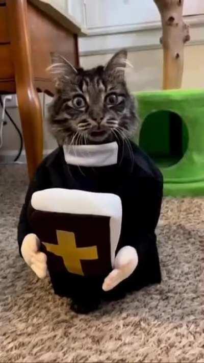 Holy blep! A Cat-holic purr-iest.