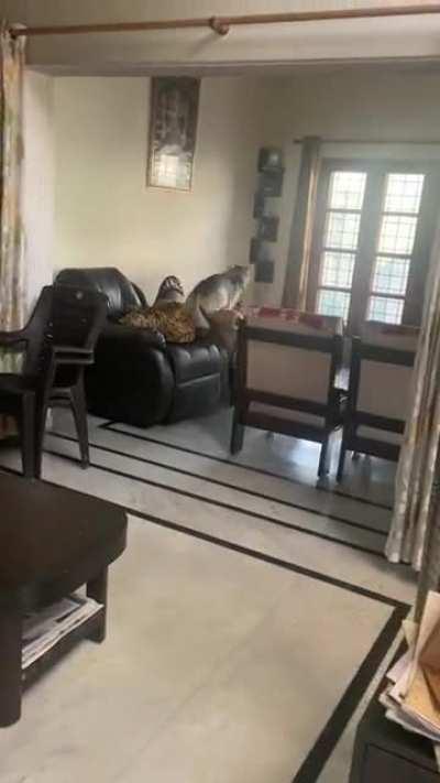 Her unabated love for carrots 🥕