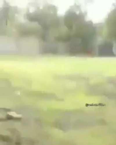 Wot da monster doin'?