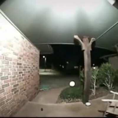 Forgot that Gifs don't have sound