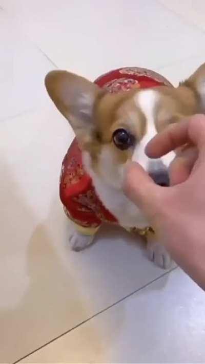 Издеваешься?