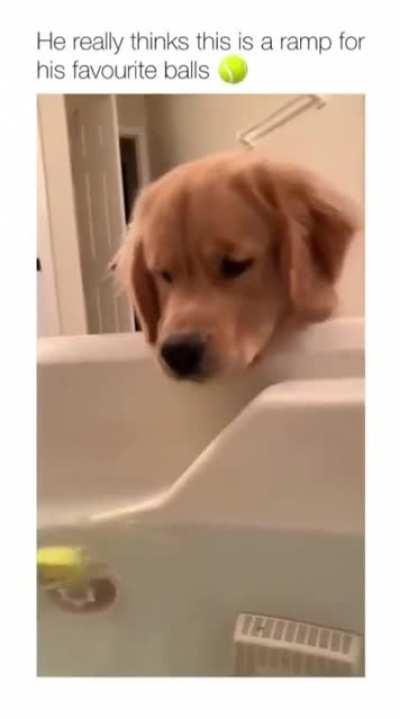 Recruited a sibling, too, I see...