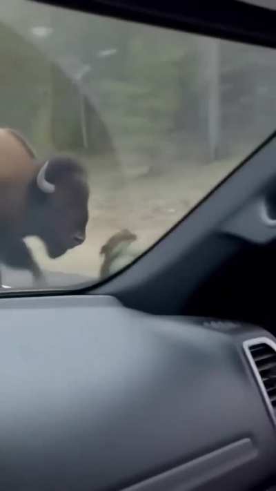 Came a little to close