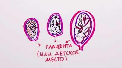 Зачем женщинам нужны месячные? Отвечаем на ваши вопросы. — Научпок