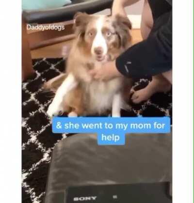 mom fixes everything