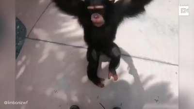 peruano parque de atracciones 😎🤟🏻