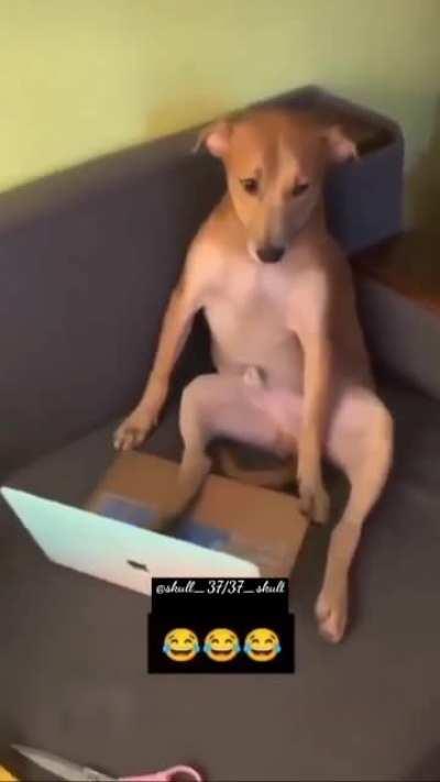 ☃️Merry Christmas 🎄