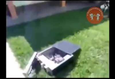 Confesso que as vezes meu PC merece isso 