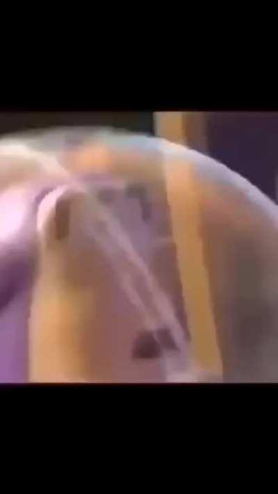 I forgot I had this...