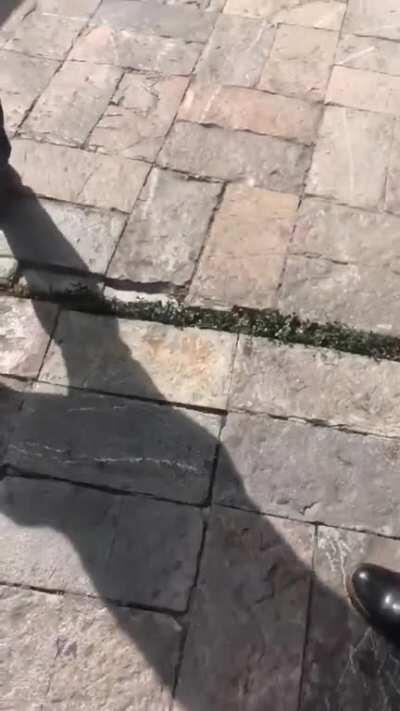 Ground shifting during a 7.4 earthquake in Oaxaca Mexico