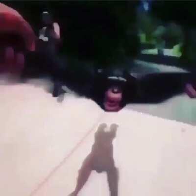 Just a couple of monkeys hangin out