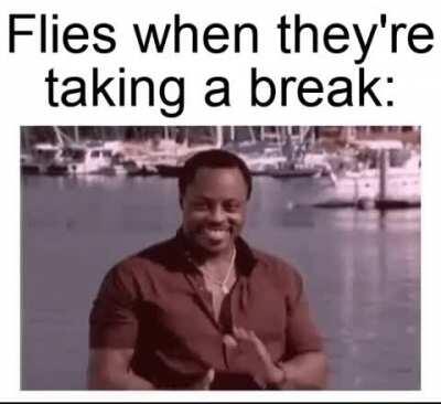 Flies do be like dat on windowsills