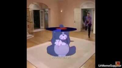 An Asian cat is a dead cat