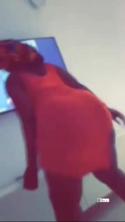 How you call this in your country? #Mapoukasession 🇨🇮